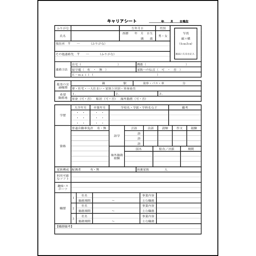 キャリアシート14 LibreOffice